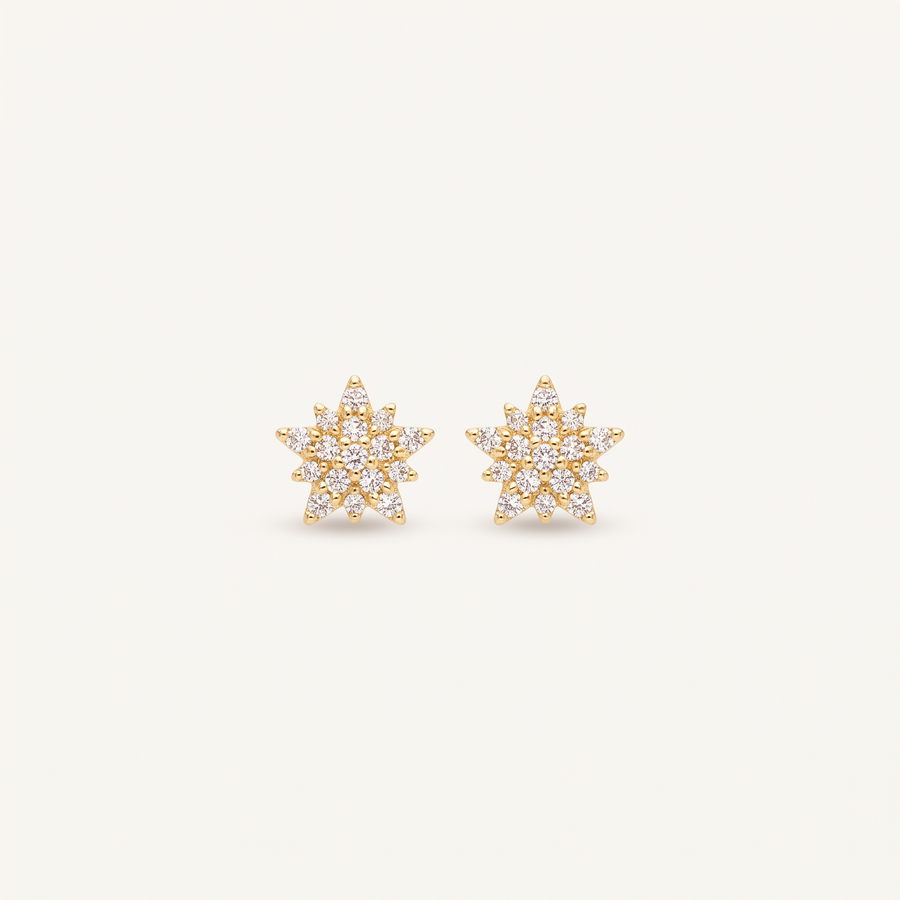 Gold Zodiac Constellation Studs
